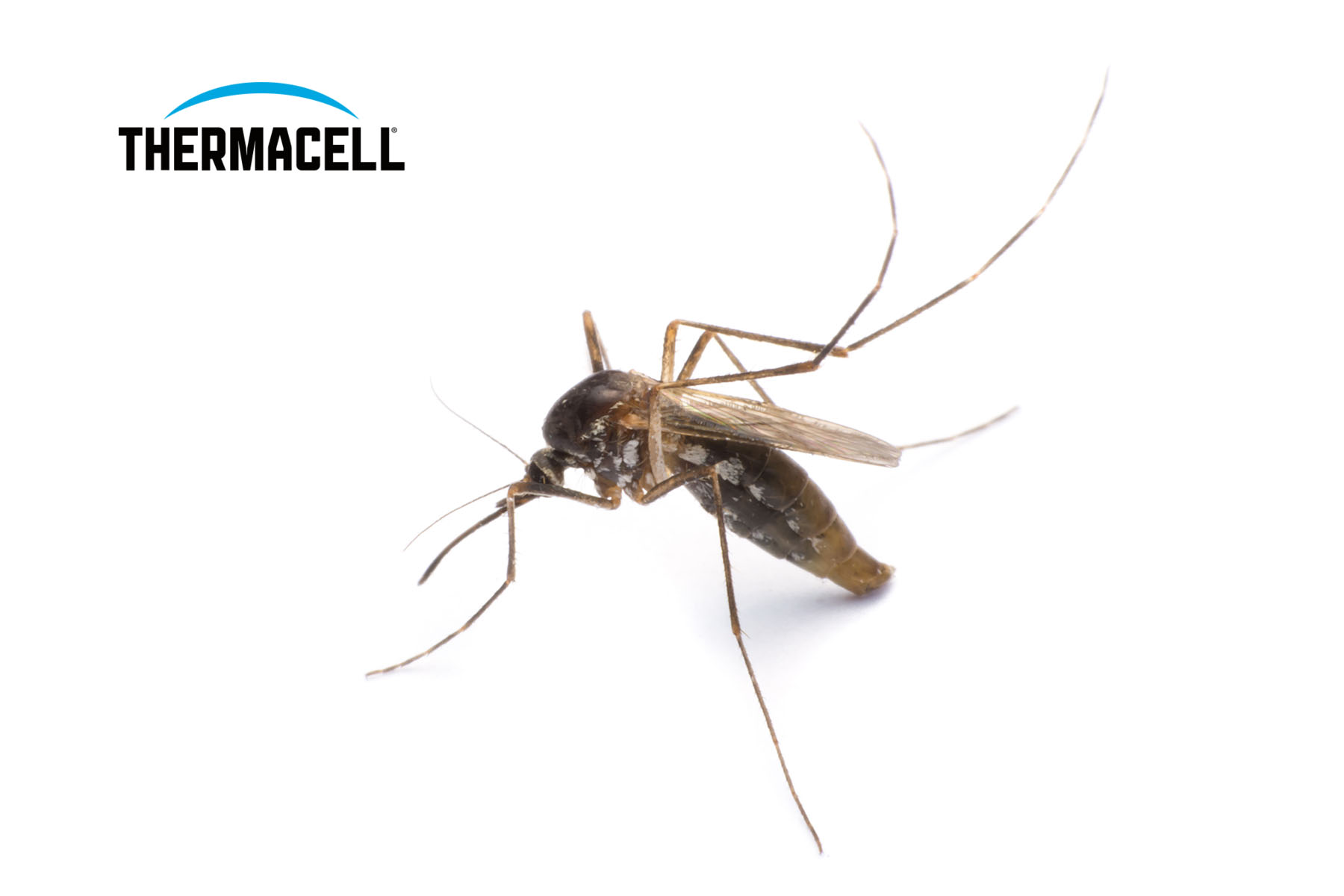 Thermacell- contre les moustiques