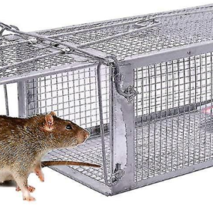 Pièges à rats vivants